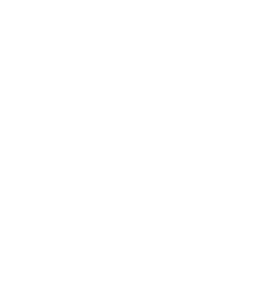 Bugito